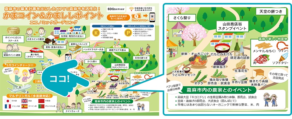 高級大豆キヨミドリ生枝豆収穫イベント詳細